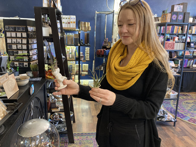 Olde Town Alchemy Erica and air plants